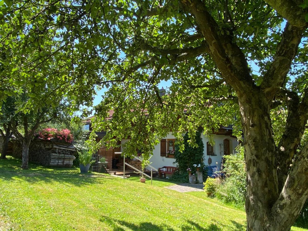 Haus Wiesengrund Фрауэнау Экстерьер фото